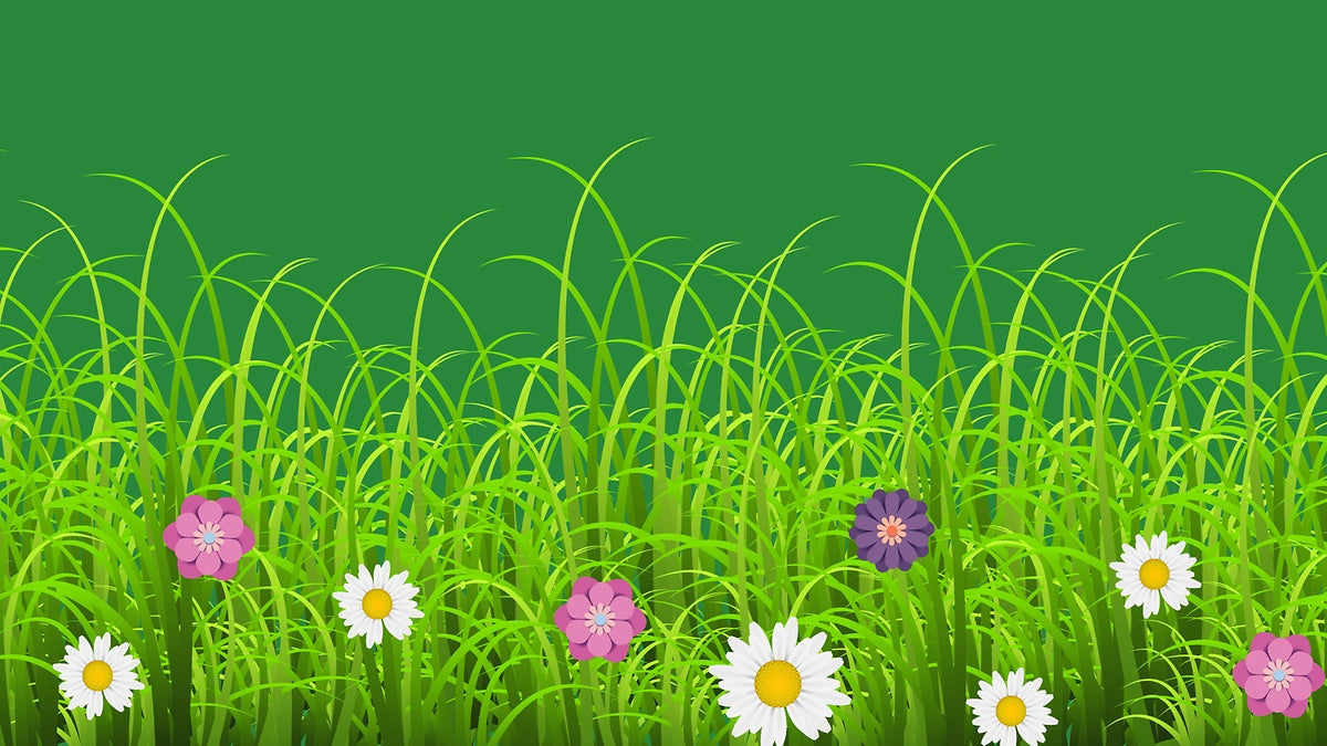 Different causes of hay fever