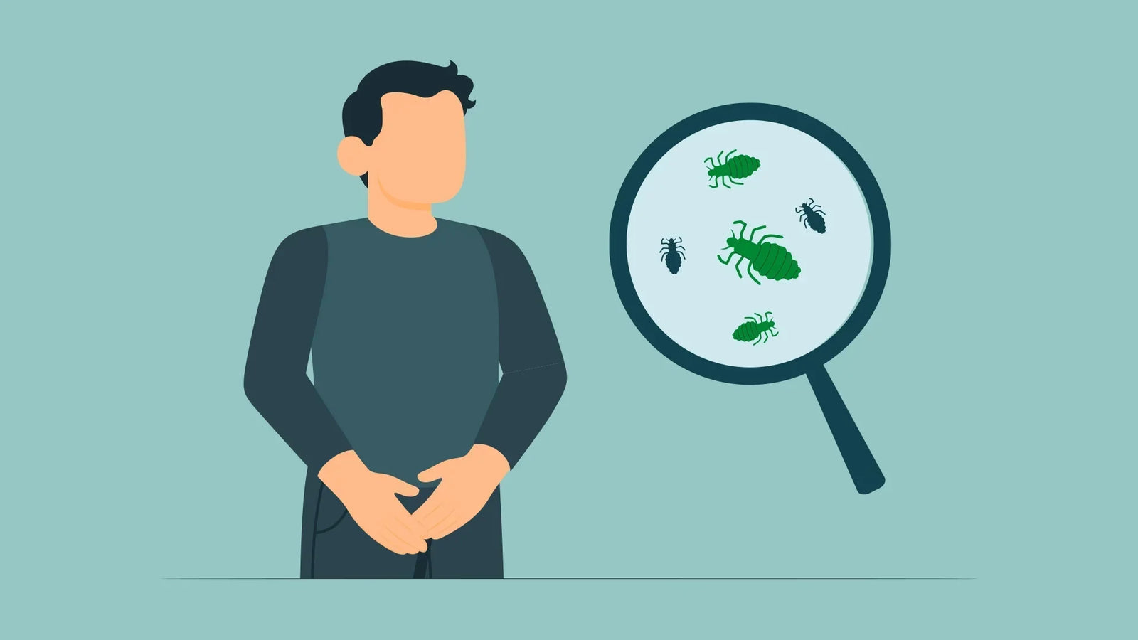 What are pubic lice?