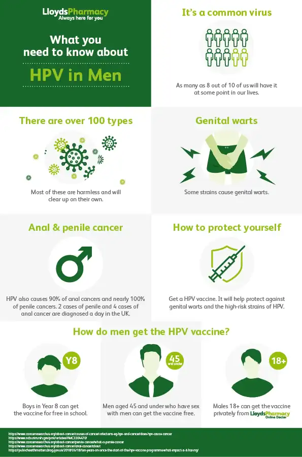 Informative infographic about the HPV in men