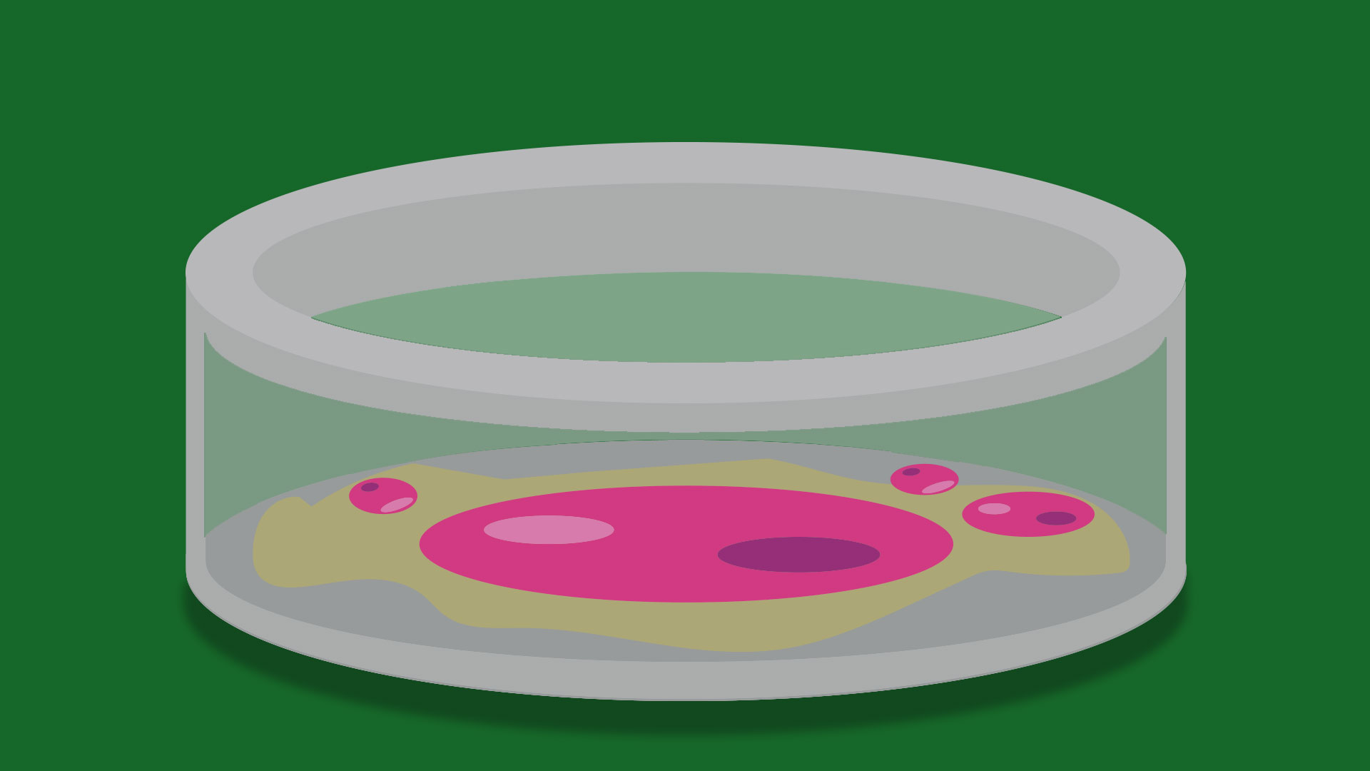 trichomoniasis-how-long-can-it-stay-dormant