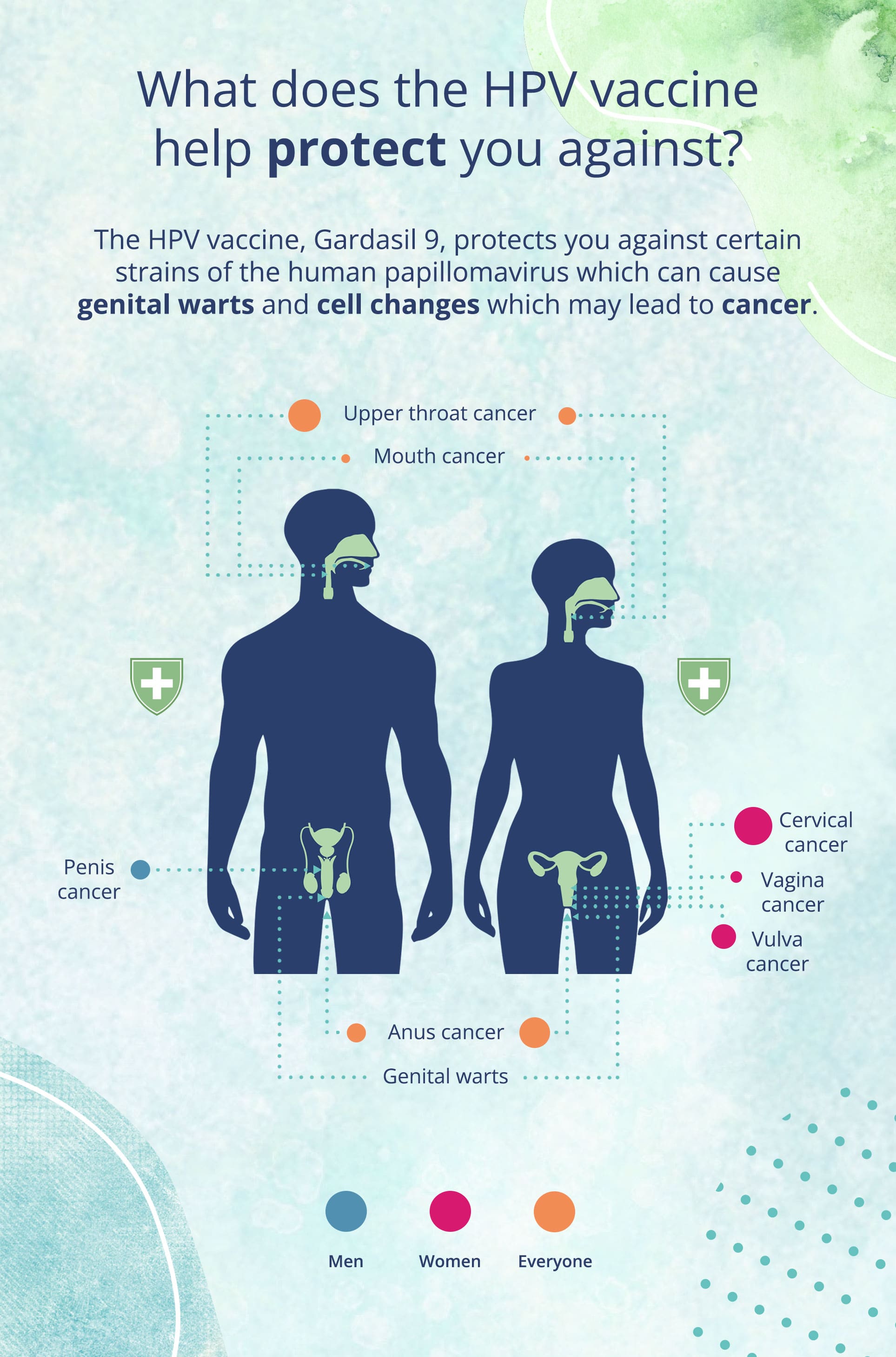 HPV In Men | LloydsPharmacy Online Doctor UK