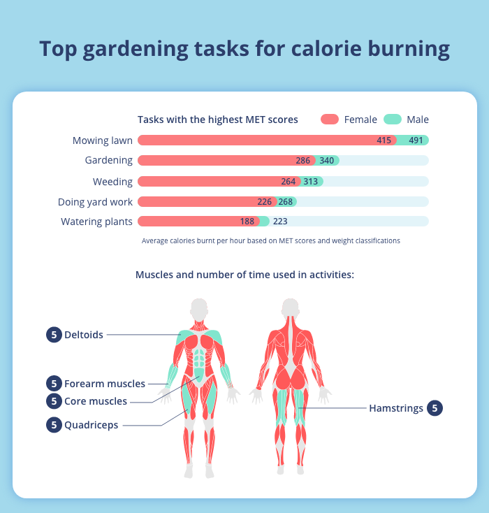 Top gardening tasks for calorie burning