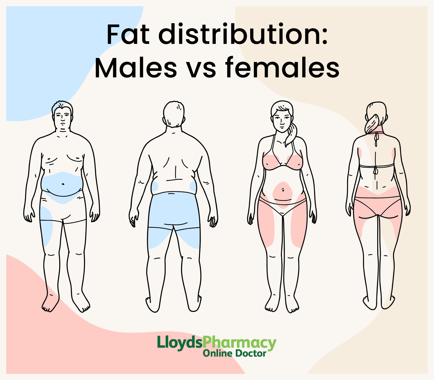 Fat distribution males vs females