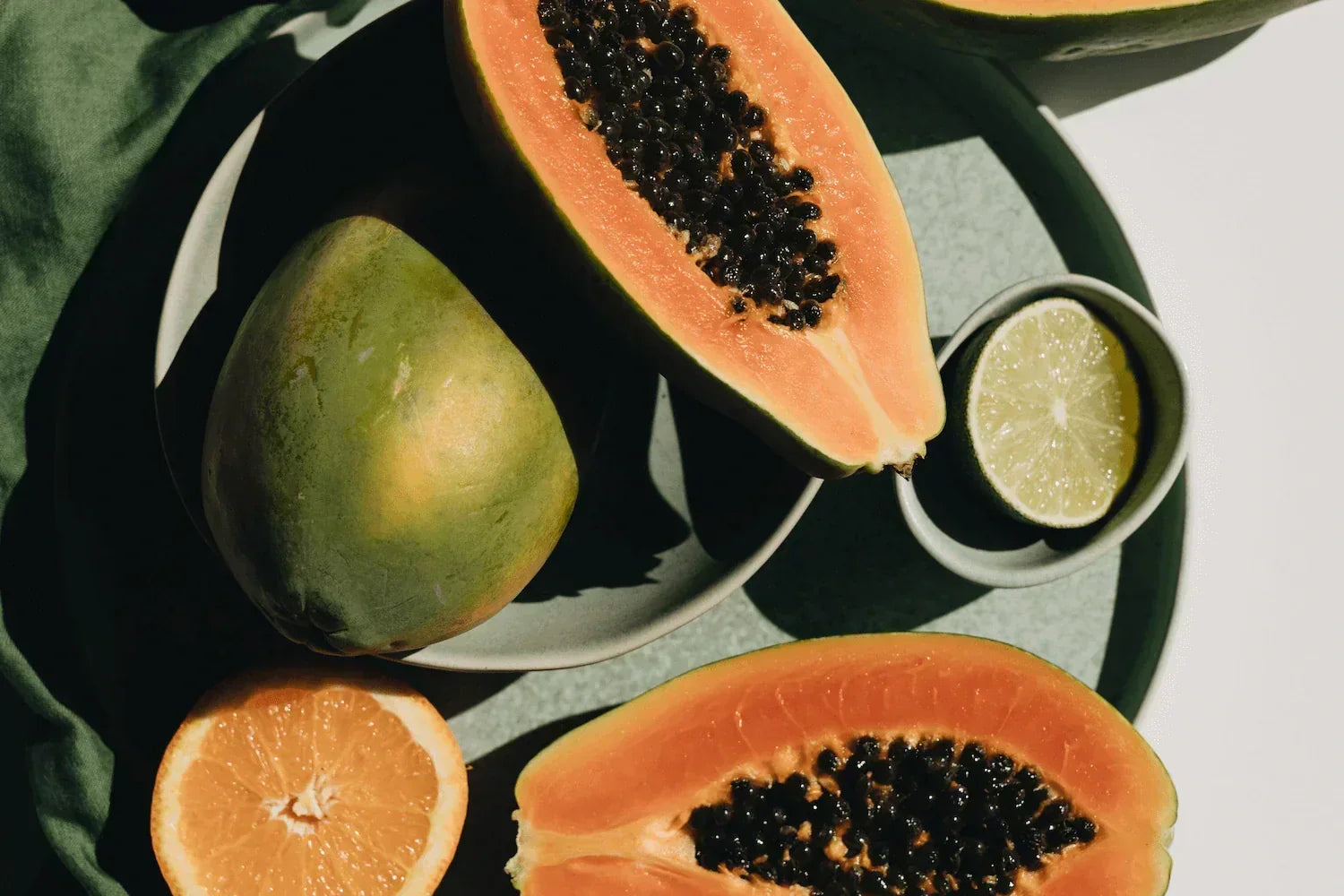 Can I Lose Weight on a Plant Based Diet?