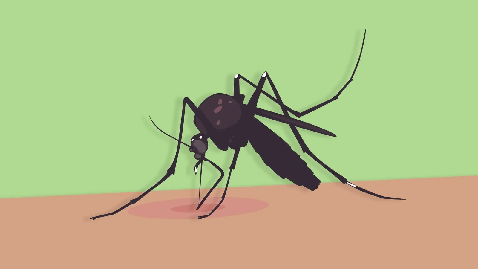 How to prevent mosquito bites