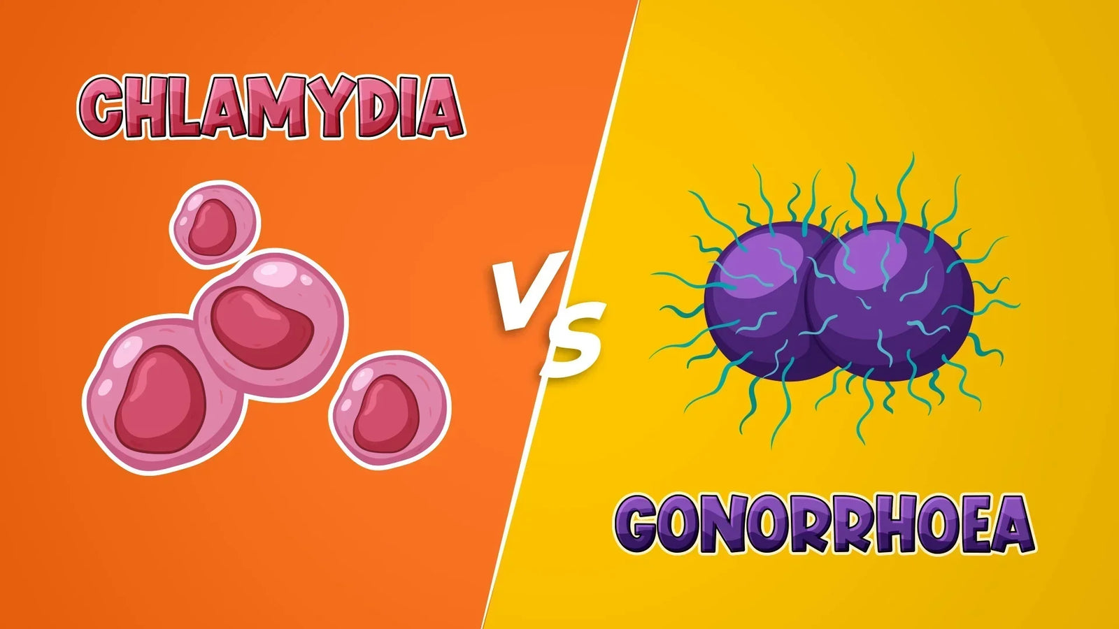 Chlamydia vs. gonorrhoea