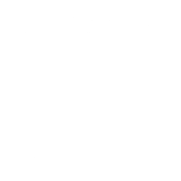 Assessment icon