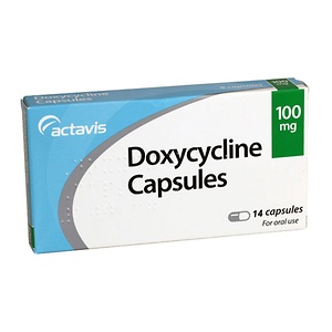 Genital Warts Treatment Removal Lloydspharmacy Online Doctor Uk